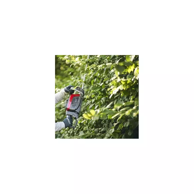 Gardeners Warned: Avoid This Common Mistake Before Planting Hydrangeas for Stunning Blooms