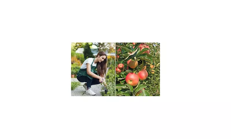 Gardening Alert: Avoid Pruning in August or Risk Stunting Next Year's Growth