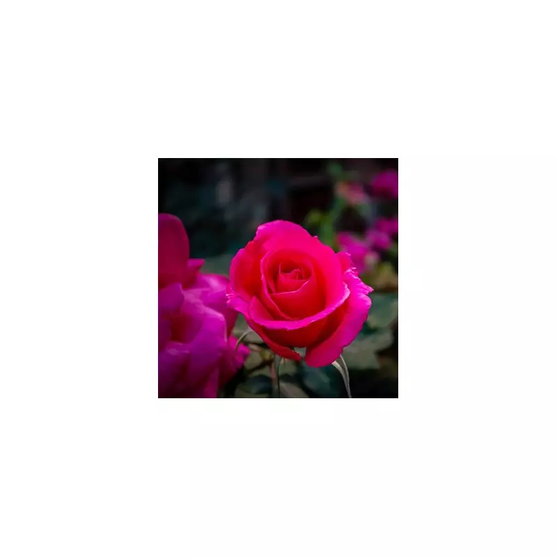 Gardening Experts Reveal One Simple Task to Keep Your Lawn Lush and Green All Summer