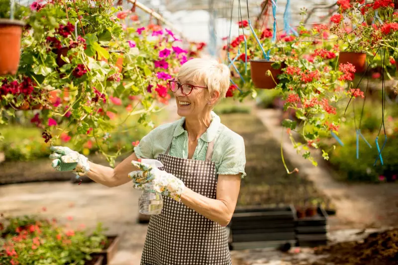 Gardening for Health: How Houseplants Can Boost Your Wellbeing
