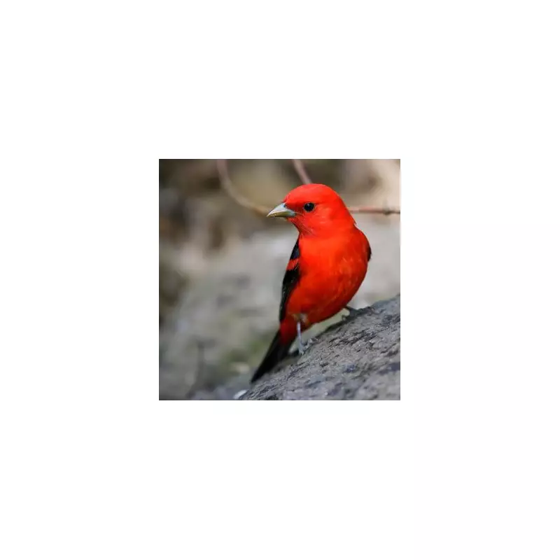 Gardening SOS: Brits Urged To Do This One Crucial Task Before July Or Risk Garden Catastrophe