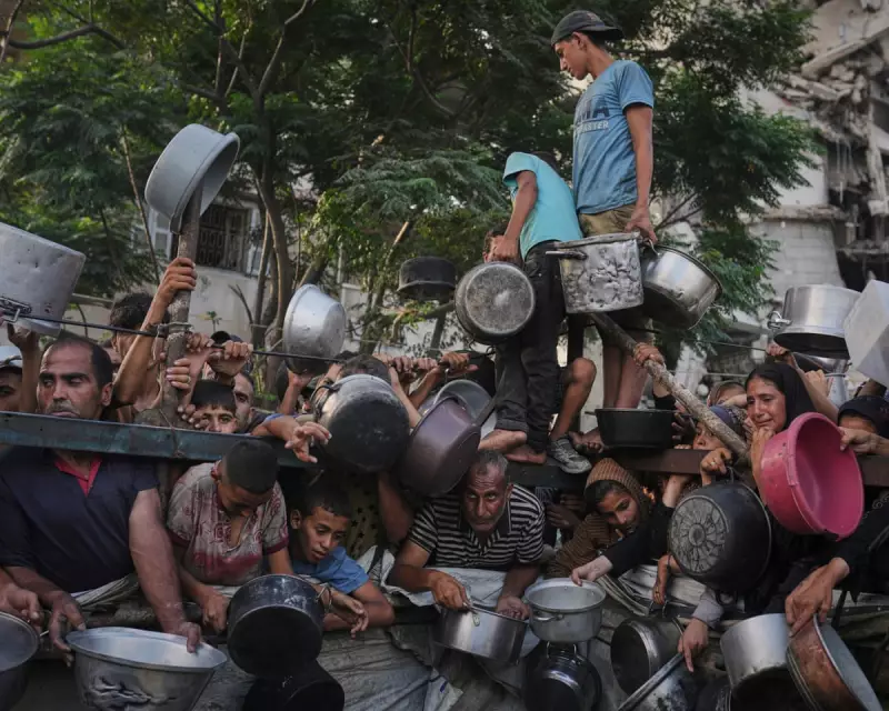 Gaza Famine Declared: Israel's 'Clear' Humanitarian Duty Under International Law, Analysis Shows