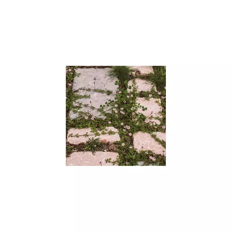 Genius Gardening Hack: Banish Weeds Forever with This Simple Trick