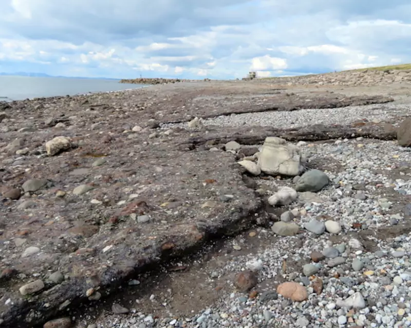 Geology Upended: Rocks Can Form in Decades, Not Millennia, Says New UK Research