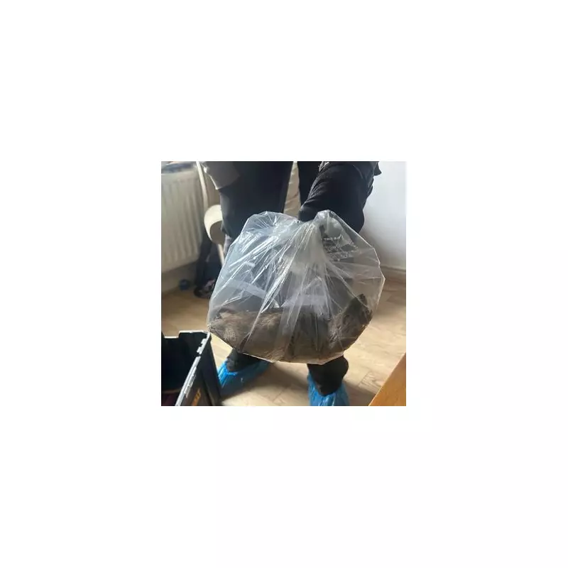 Giant 22-Inch Rat Spotted in London: Is This the UK's Biggest Rodent?