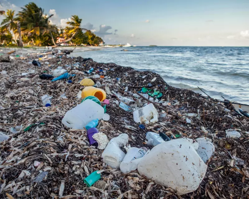 Global Plastics Deal Collapses: How Petrostates Derailed Environmental Progress