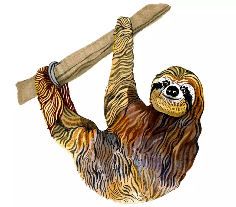 Golden Sloths and Stellar Secrets: A Fun Quiz for Curious Kids