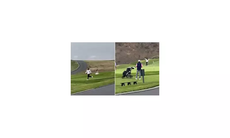 Golfers Left Stunned as Seagull Snatches Wallet Mid-Game at Pebble Beach