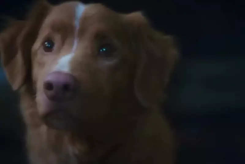 Good Boy: The Terrifying New Horror Film Where Man’s Best Friend Turns Evil