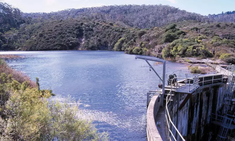 Government Warns Against PFAS Blood Tests: No Proven Health Benefits, Says Study