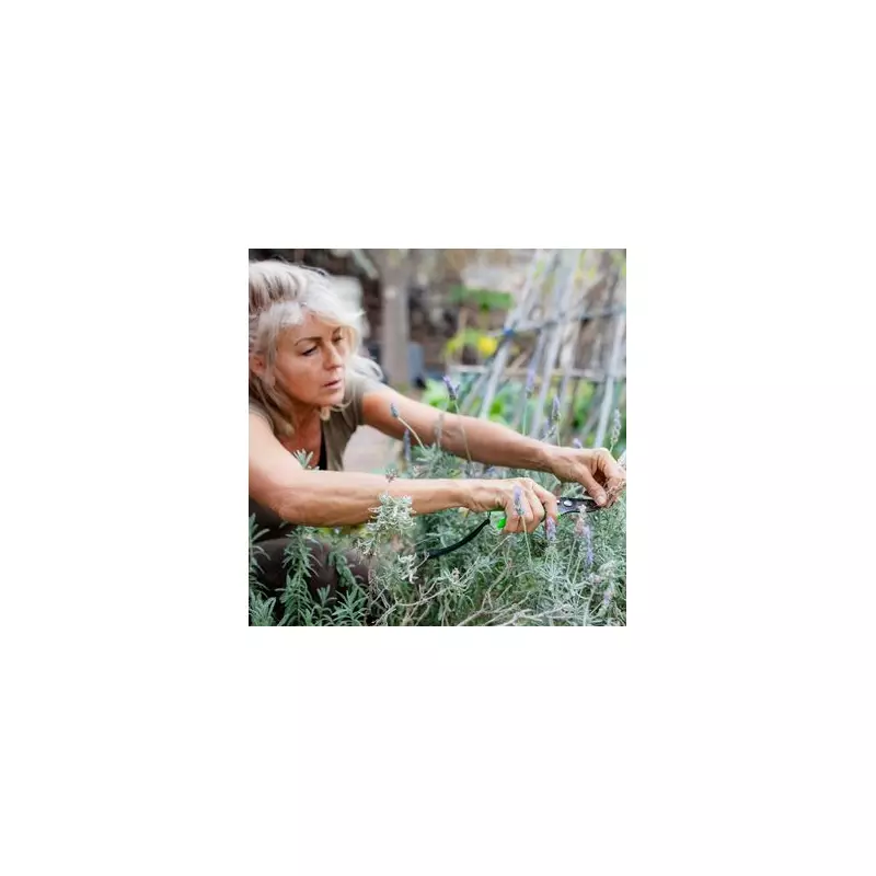 Green Thumb Alert: 5 Crucial Gardening Jobs You MUST Do This July for a Stunning Garden