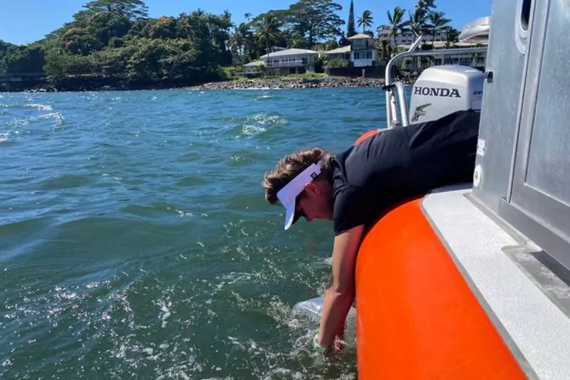 Hawaii's Coral Reefs Face Ecological Catastrophe From Chronic Sewage Leaks, Study Reveals