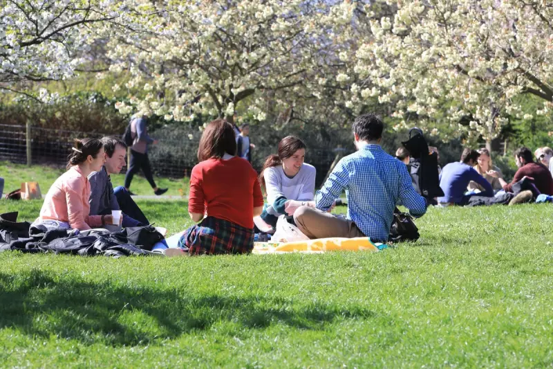 Heatwave Havoc: How UK's Scorching Summers Are Unleashing a Plague of Aggressive Wasps