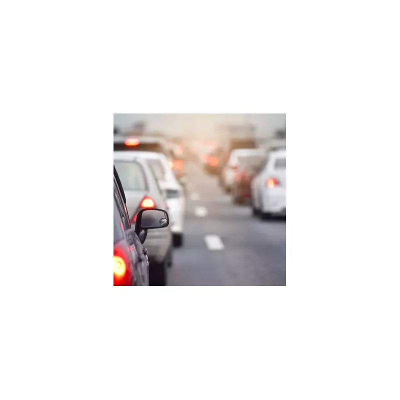 Hero Driver Halts M25 Traffic to Rescue Stranded Animal in Daring Motorway Rescue | UK News