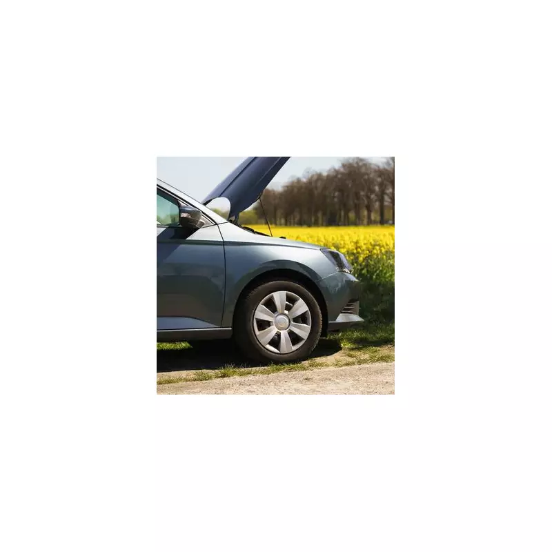 Hidden Car Symbol You Should Never Ignore – It Could Save Your Life