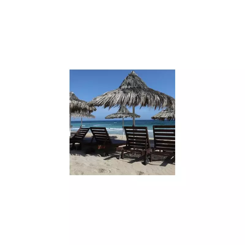 Holiday Horror: Tourist Finds Python in Toilet at Spanish Resort