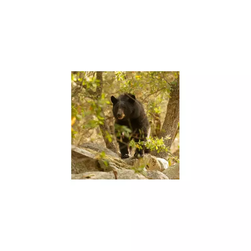 Horror in Essex: 93-Year-Old Grandfather Mauled to Death by Pack of Dogs