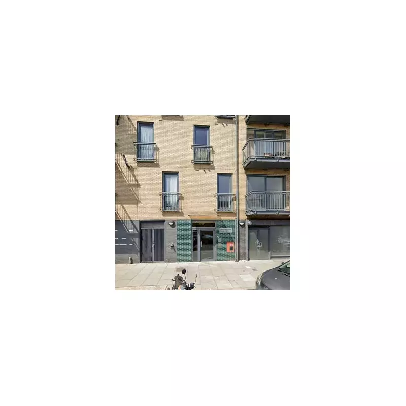 Horror in Westminster: Swarm of Rats Terrifies Residents in Shocking Infestation