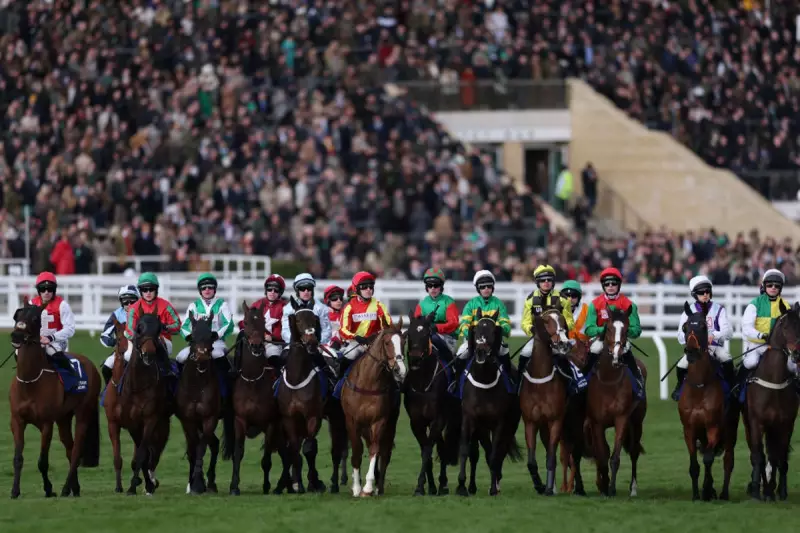 Horses Could Help Detect Heart Attacks and Diabetes in Humans, Study Reveals