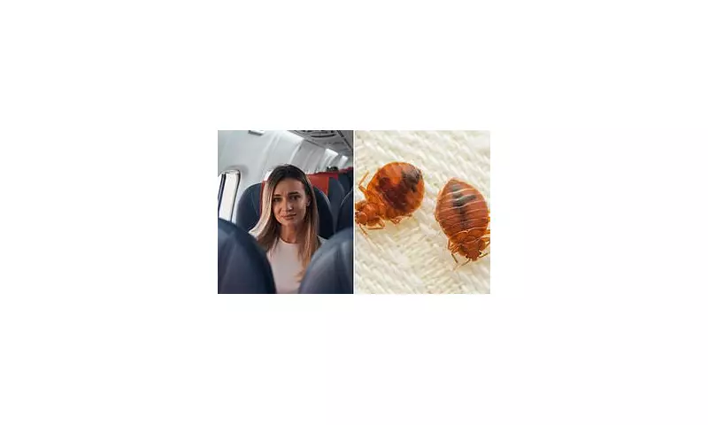 Hotel Horror: Woman Slams 'Disgusting' Bed Bug Infestation After Flight Chaos