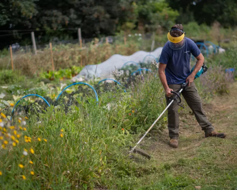How Farming is Helping Ex-Prisoners Heal and Rebuild Their Lives