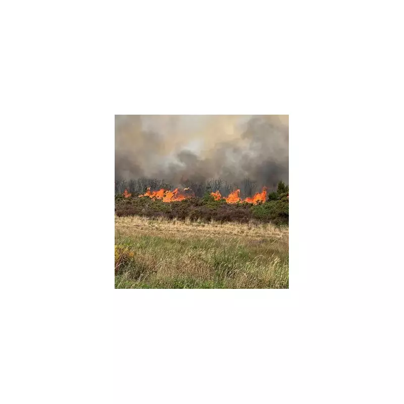 Huge Fire Erupts at Holt Heath Industrial Estate – Major Incident Declared