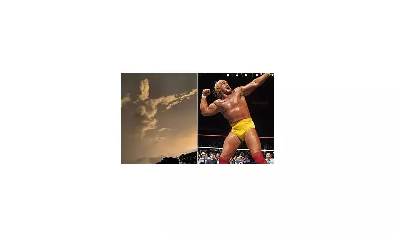 Hulk Hogan and Bam Margera's Emotional Tribute at Funeral Sparks Controversy