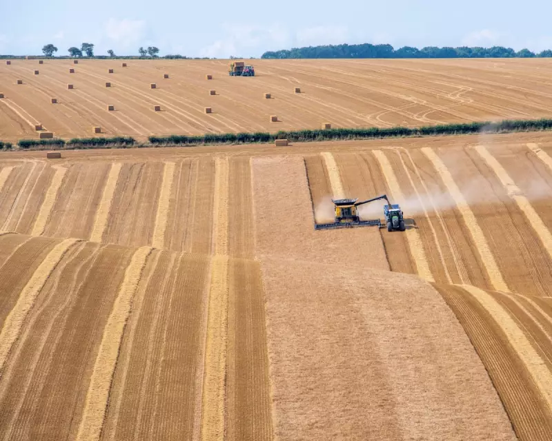 Human Waste Transformed into Biochar Could Tackle Global Fertiliser Crisis, Study Reveals