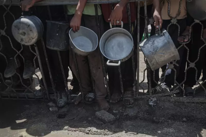 Hunger and Exhaustion: The Daily Struggle of Gaza's Academics to Stay Focused