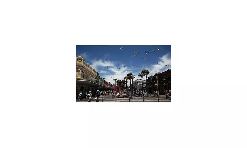 Iconic Manly Wharf Hotel Shocks Sydney with Sudden Closure | Beloved Harbour Venue Shuts Down