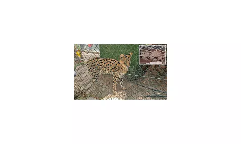 Illegal Zoo Busted: Endangered Animals Found in Secret UK Menagerie | Daily Mail