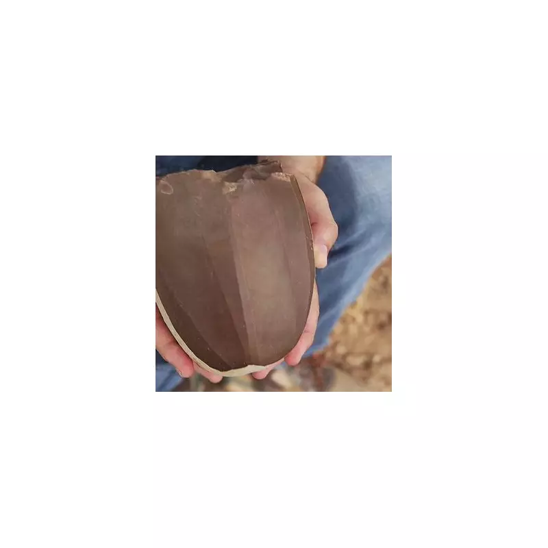 Incredible Discovery: 5,500-Year-Old Neolithic Tomb Unearthed on Scottish Island