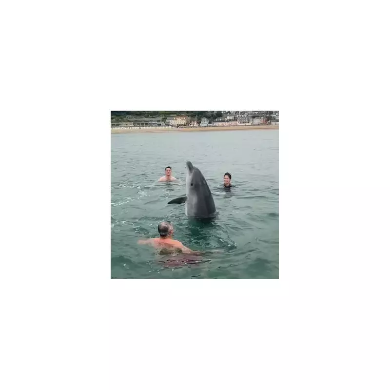 Incredible Dolphin Befriends UK Family in Cornwall: A Magical Encounter at Land's End