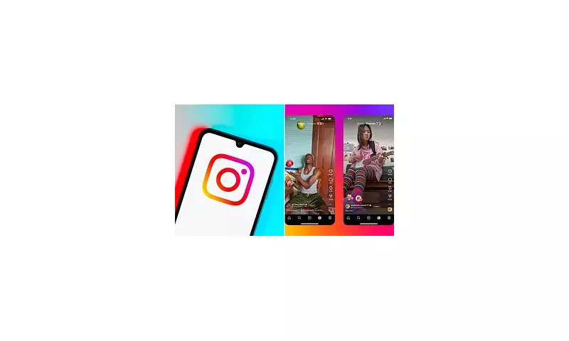 Instagram's New Feature Lets You See What Your Friends Have Liked – Here's How It Works