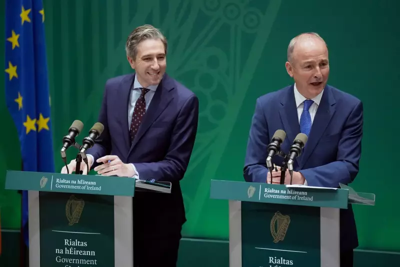 Irish Deputy PM Slams Trump's 'Economic Illiteracy' Over Threat to Tax Irish Exports