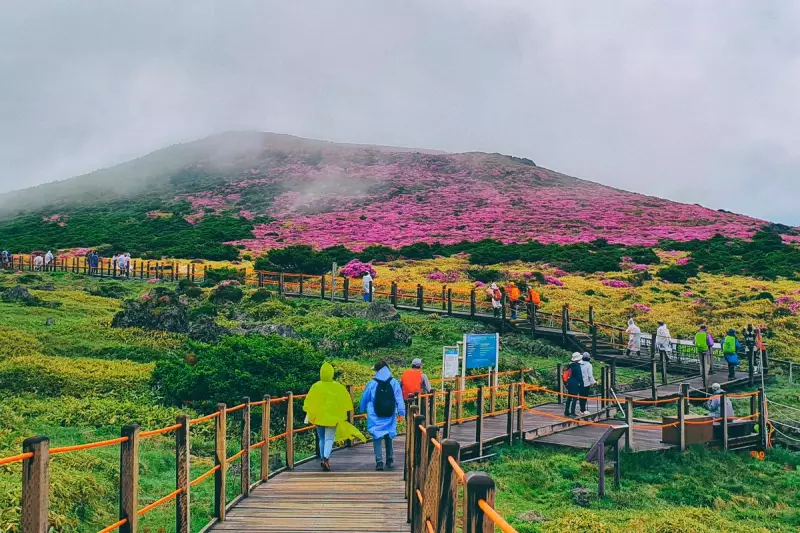 Jeju Island Cracks Down on Tourists: New Police Patrols Enforce Stricter Rules in South Korea's Paradise