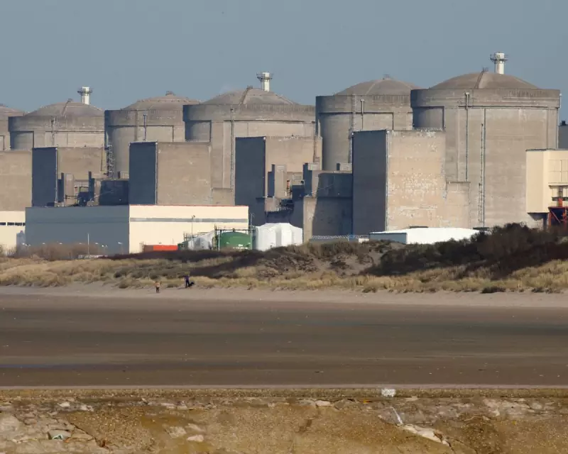 Jellyfish Invasion Forces French Nuclear Plant Shutdown – A Growing Environmental Concern