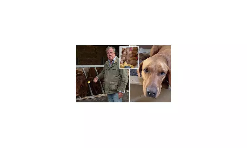 Jeremy Clarkson Forced to Shut Down Diddly Squat Farm for Two Months Due to TB Outbreak