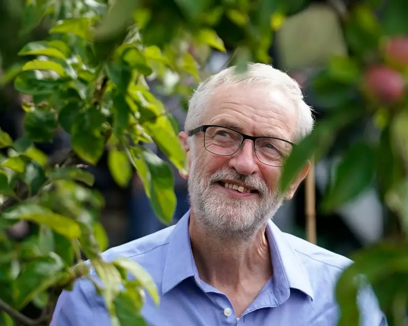 Jeremy Corbyn's Potato Knowledge: A Political Spud Mystery