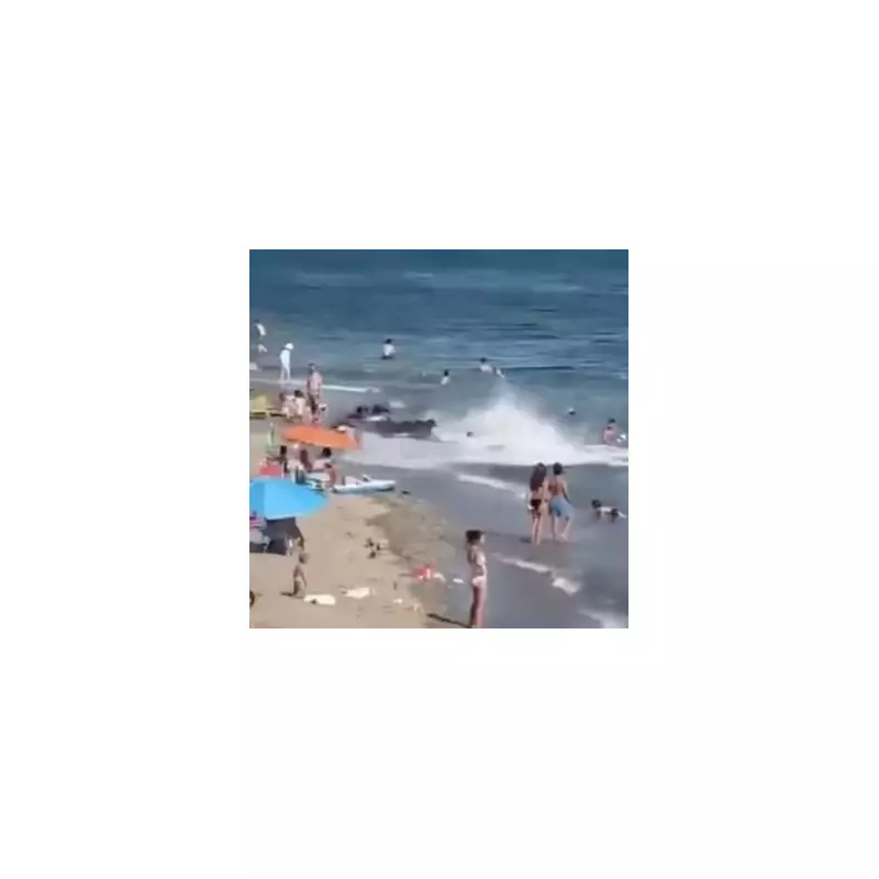 Jet Ski Chaos in Westminster: Reckless Rider Narrowly Avoids Disaster on Thames