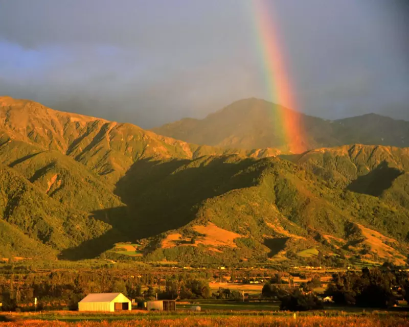 Kataraina by Becky Manawatu Review: A Thrilling Māori Masterpiece That Surpasses Its Acclaimed Predecessor