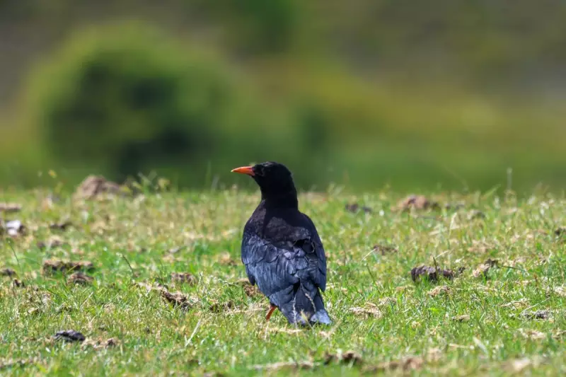 Kent Braces for 50mph Winds as Met Office Issues Yellow Weather Warning