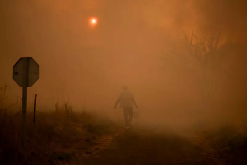 Kharkiv Under Fire: Missile Strike, Wildfires, and Taekwondo Triumphs – Monday’s Global Snapshot