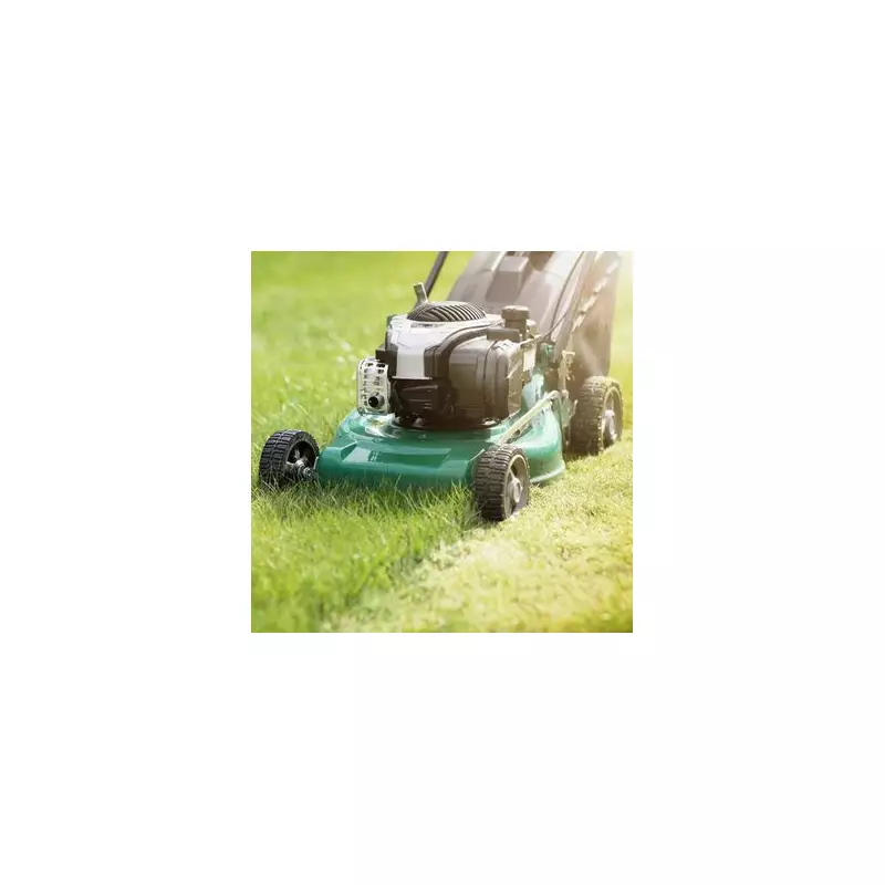 Kind Stranger’s Heartwarming Gesture Leaves Woman Stunned After She Shares Garden Struggle Online