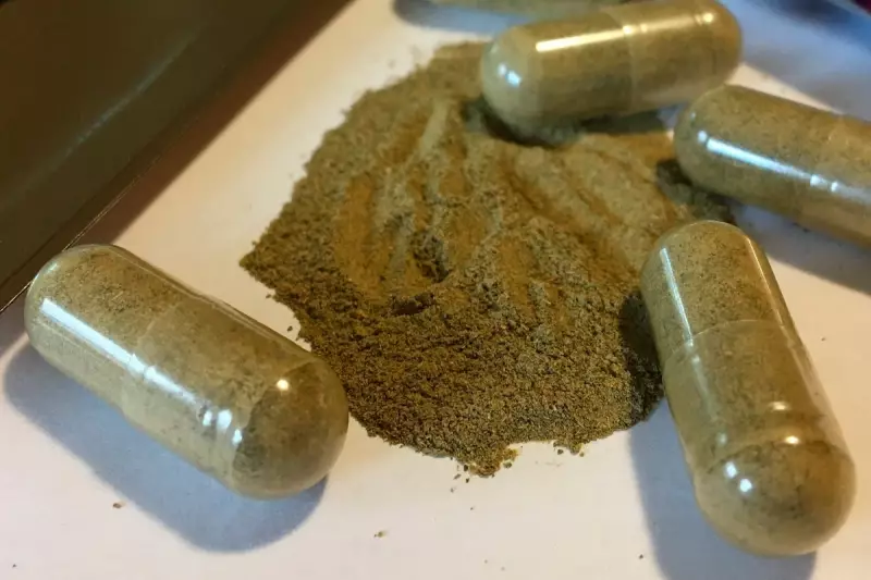 Kratom Linked to Death: Over-the-Counter Supplement Under Scrutiny After RFK Jr's Advocacy
