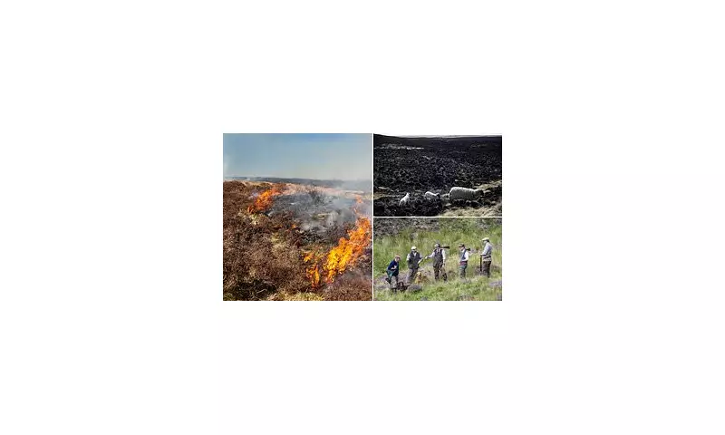 Labour's Rewilding Sparks Fury: Farmers Warn of 'Tinderbox Countryside' and Catastrophic Wildfire Risk