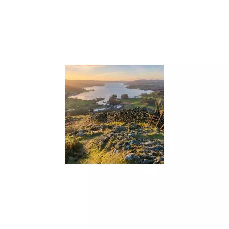 Lake District Holiday Alert: Toxic Blue-Green Algae Bloom Sparks Urgent Warning