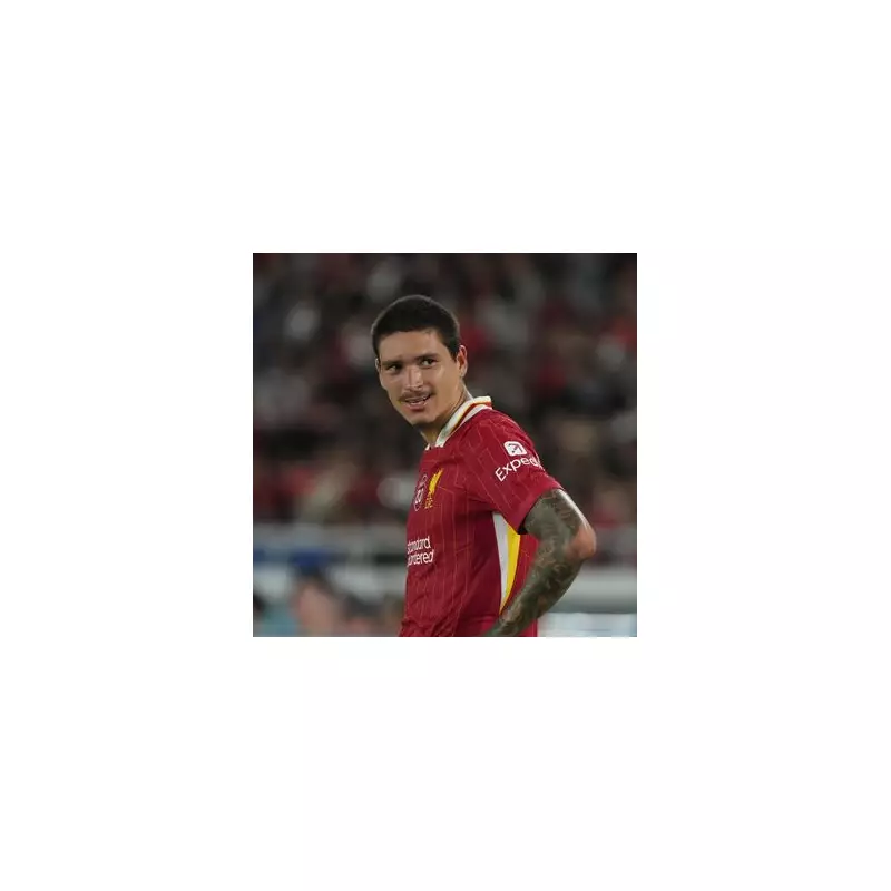 Liverpool Eye Darwin Nunez as Key Summer Transfer Target – What’s the Latest?