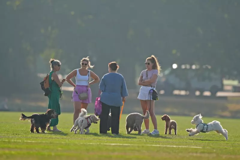 London Braces for Pollution Surge as Heatwave Alert Issued – Health Warnings in Place