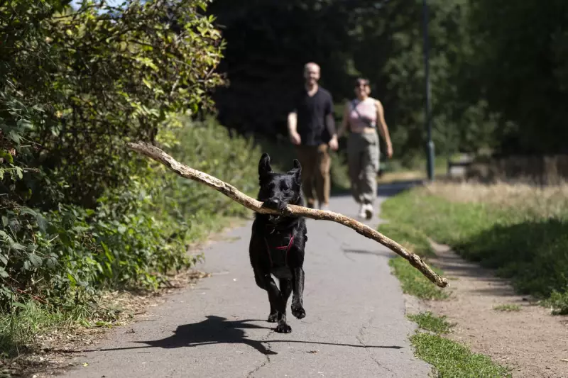 London Braces for Scorching Heat as Met Office Issues Weather Warning